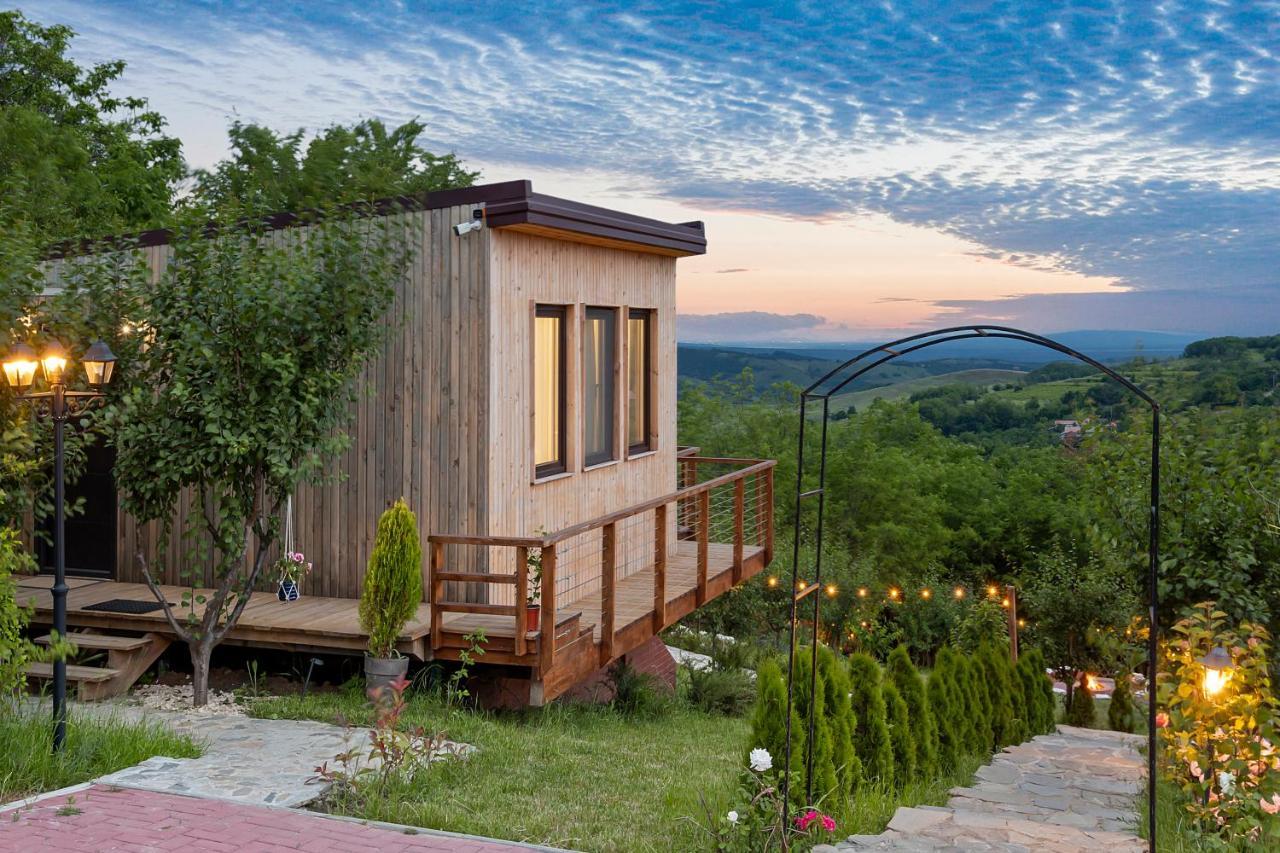 Arta Chalet Ceptura de Jos 외부 사진