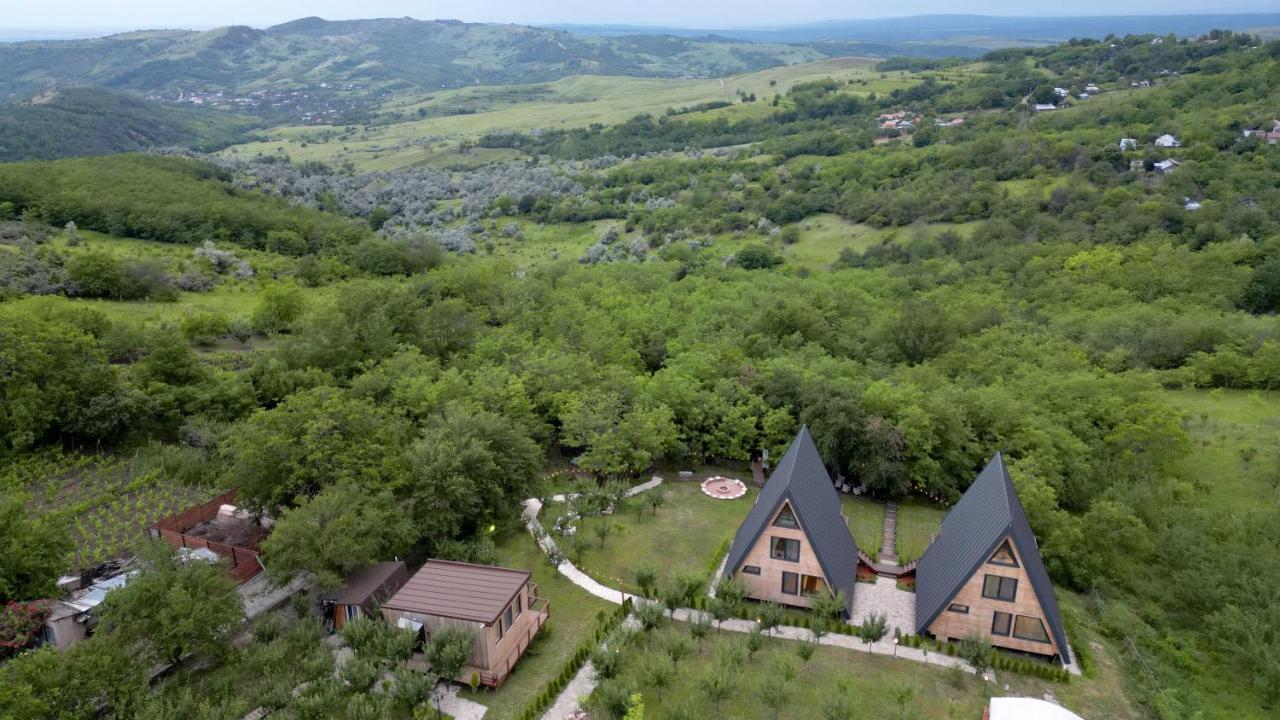 Arta Chalet Ceptura de Jos 외부 사진