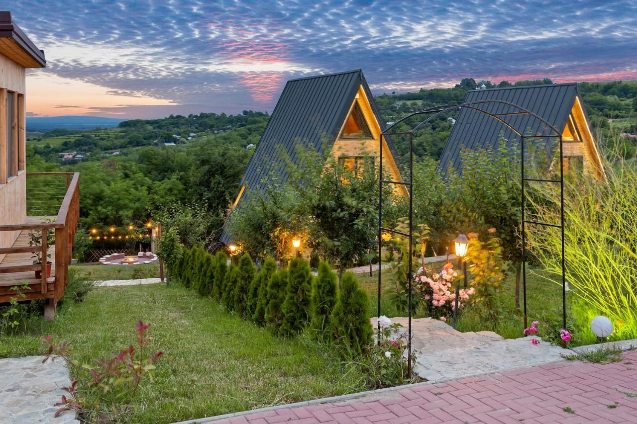 Arta Chalet Ceptura de Jos 외부 사진