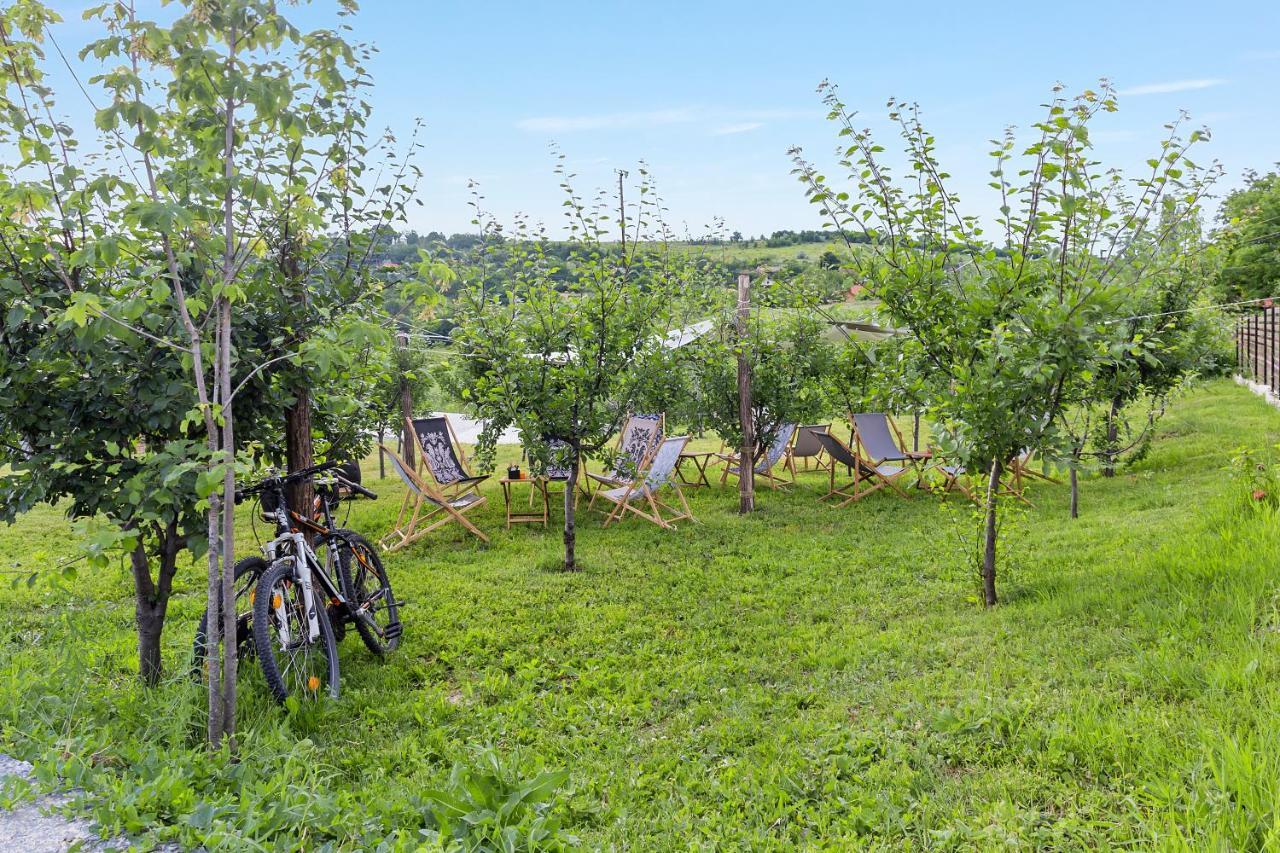 Arta Chalet Ceptura de Jos 외부 사진