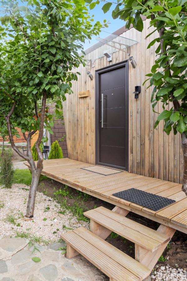 Arta Chalet Ceptura de Jos 외부 사진