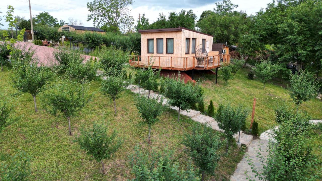 Arta Chalet Ceptura de Jos 외부 사진