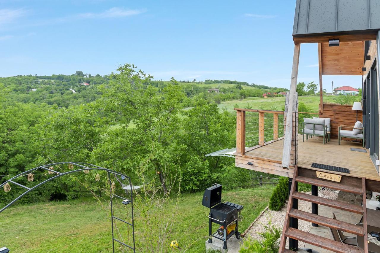 Arta Chalet Ceptura de Jos 외부 사진