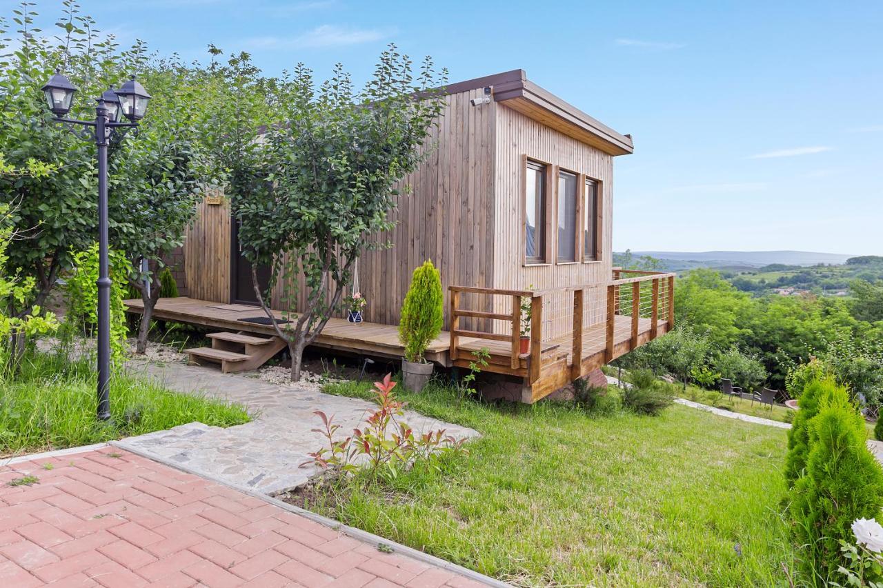 Arta Chalet Ceptura de Jos 외부 사진