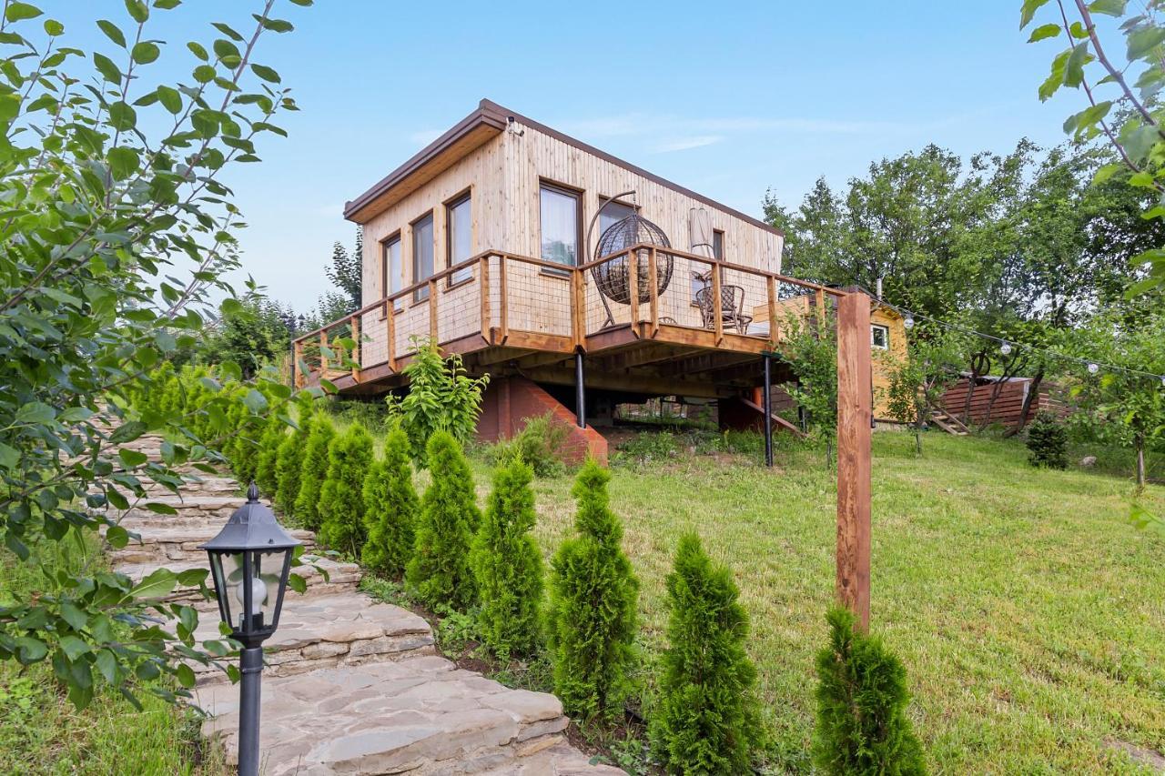 Arta Chalet Ceptura de Jos 외부 사진